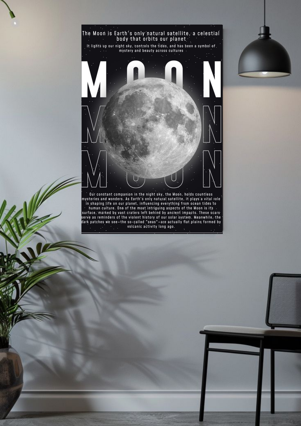 Moon Facts Poster